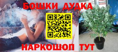 PSILOCYBIN Конаково